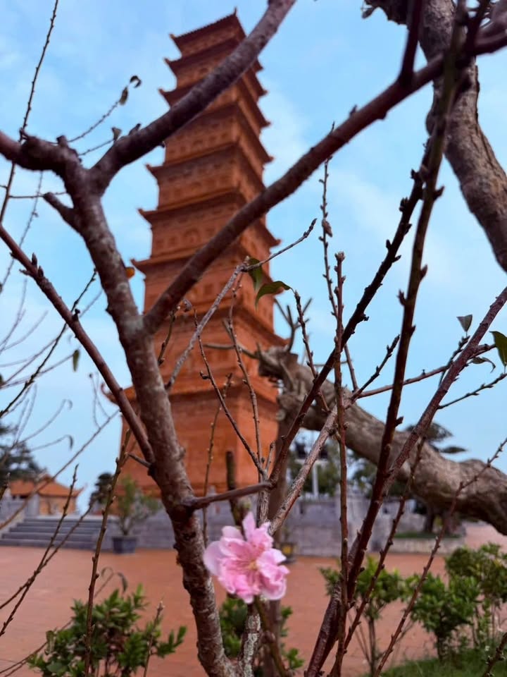 Nhà riêng Tràng Cát 68m² 3.05 tỷ - Chính chủ bán gấp