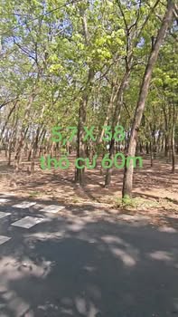 Đất nền Chánh Phú Hòa 217m² 1.3 tỷ - Sổ đỏ chính chủ