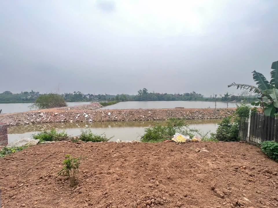 Đất nền Sơn Vi Lâm Thao 412m² giá 2 tỷ - Sổ đỏ chính chủ đẹp như vườn