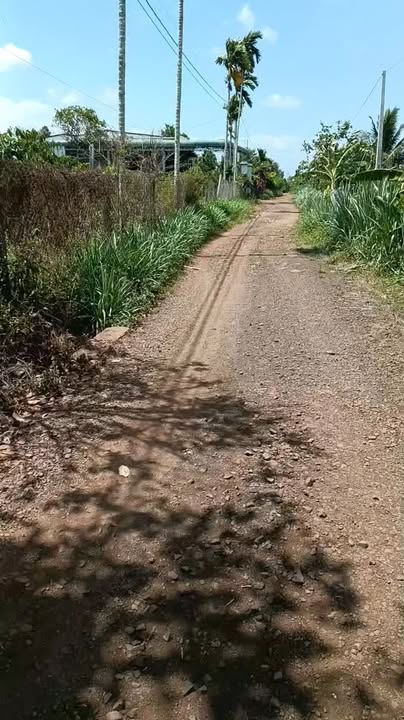 Đất nền Ea M'nang 1.260m² giá 1.4 tỷ - Sổ đỏ chính chủ