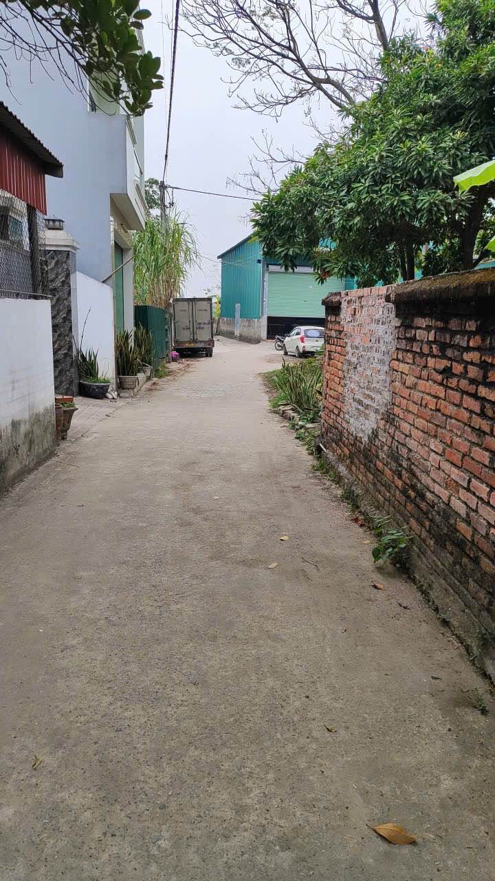 Đất nền Thôn Đông, Sóc Sơn 80m² giá 3,8 tỷ - Sổ đỏ chính chủ