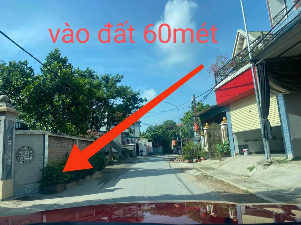 Đất nền Tam Đảo TL302 1400m² 1.12 tỷ - Sổ đỏ chính chủ