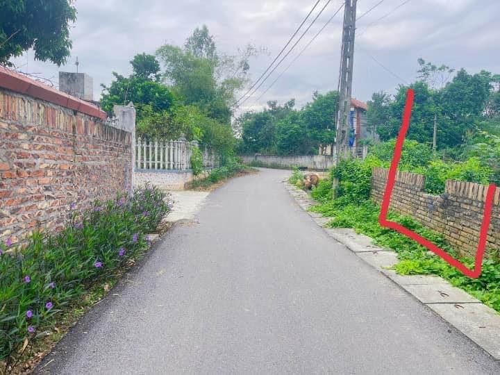 Đất nền Thiện Kế Tam Dương 100m² 1.15 tỷ - Sổ đỏ chính chủ