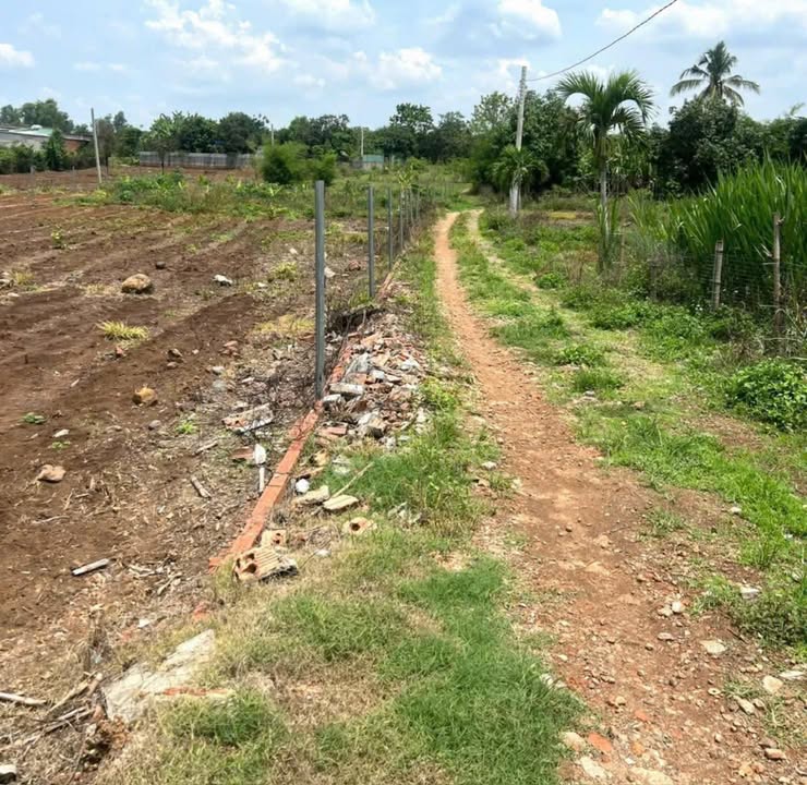 Đất nền Dầu Giây 1004m² 1.45 tỷ - Sổ đỏ chính chủ