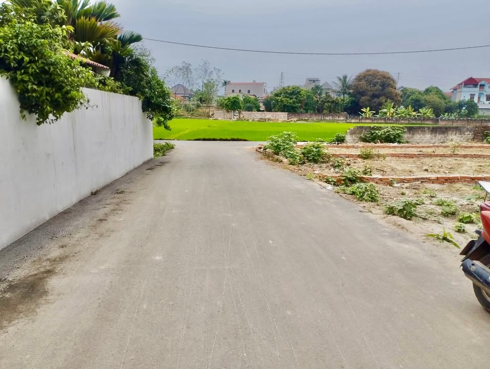 Đất nền Bình Xuyên Apphan 92m² 1.3 tỷ - Đường to ô tô