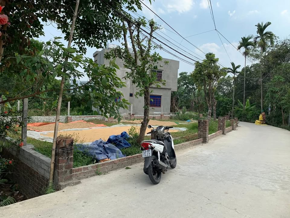 Đất Tuý Loan Đông2 Hòa Phong 300m² 1.7 tỷ - Sổ đỏ chính chủ