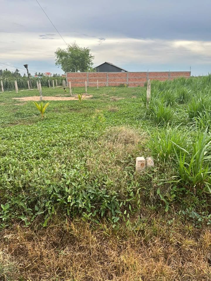 Đất nền Quơn Long Chợ Gạo 230m² 260 triệu - Đất thổ cư 100%