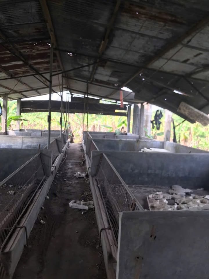 Đất nền Long Khánh 1.285m² giá 1.2 tỷ - Sổ đỏ chính chủ