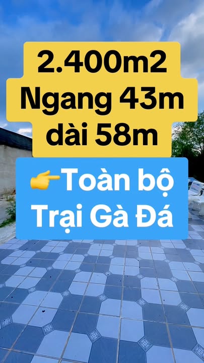 Đất vườn Nhơn Nghĩa A 2.400m² chỉ 3,1 tỷ - Sổ hồng rõ ràng