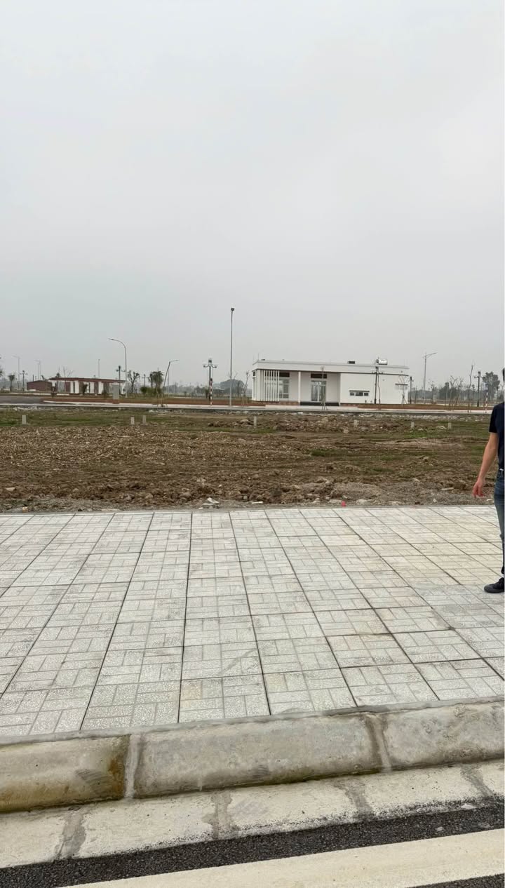 Đất nền Tân Thanh Elite Mỹ Đình 114m² 2,964 tỷ - Sổ đỏ chính chủ