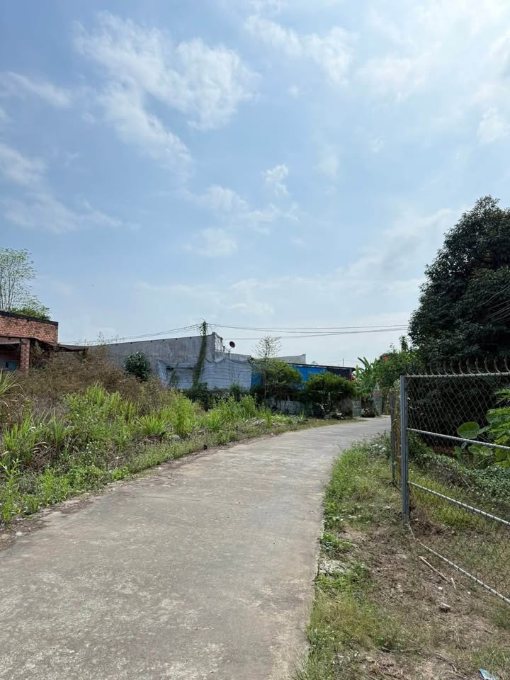 Đất nền Tân Phú 1.000m² giá 500 triệu - Sổ đỏ chính chủ