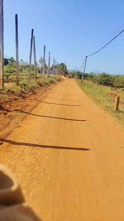 Đất vườn Ia Hrung Gia Lai 2.4ha 6 tỷ - Đầu tư dài hạn