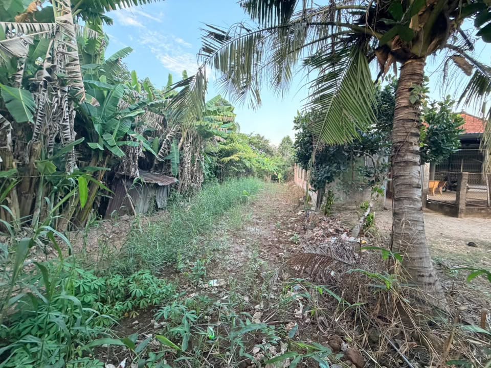 Đất nền Hòa An 233m2 300-399 triệu - Giá tốt hiếm có