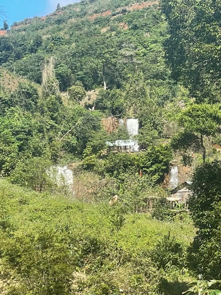 Đất nền Kon Tum Măng Cành 1,2ha 2 tỷ - Đầu tư dài hạn