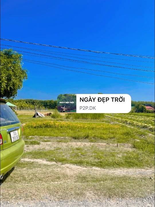 Đất Long Thuận Bến Cầu 161m² giá 319 triệu - Sổ đỏ chính chủ