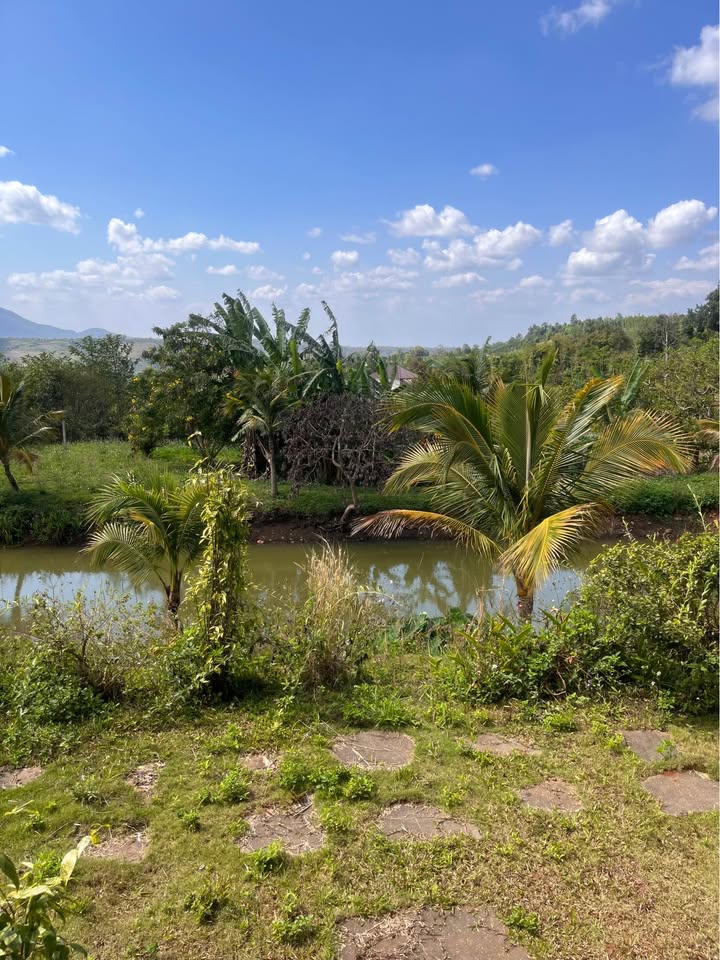 Đất vườn Đắk Mil 2.196m² 3 tỷ - View thiên nhiên