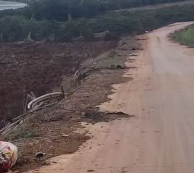 Đất nền Tân Hội Đức Trọng 4300m² 3.44 tỷ - Sổ đỏ chính chủ