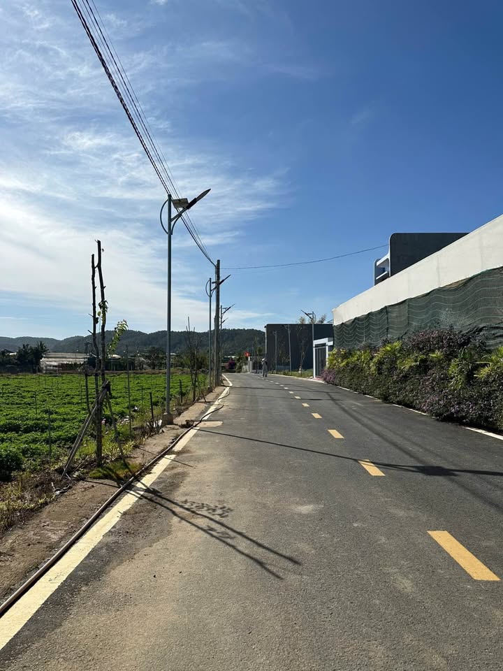 Đất nền Mai Anh Đào Đức Trọng 92m² 1,25-1,39 tỷ - Sổ đỏ