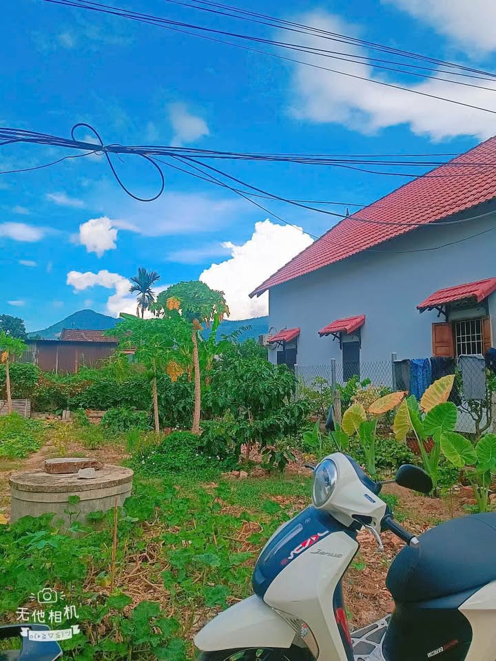 Đất nền Suối Tân Cam Lâm 78-80m² 699-749 triệu - Sổ hồng sẵn