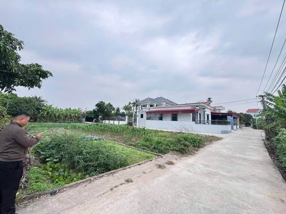 Đất nền Hà Đông Hải Phòng 100m² 600 triệu - Sổ đỏ chính chủ