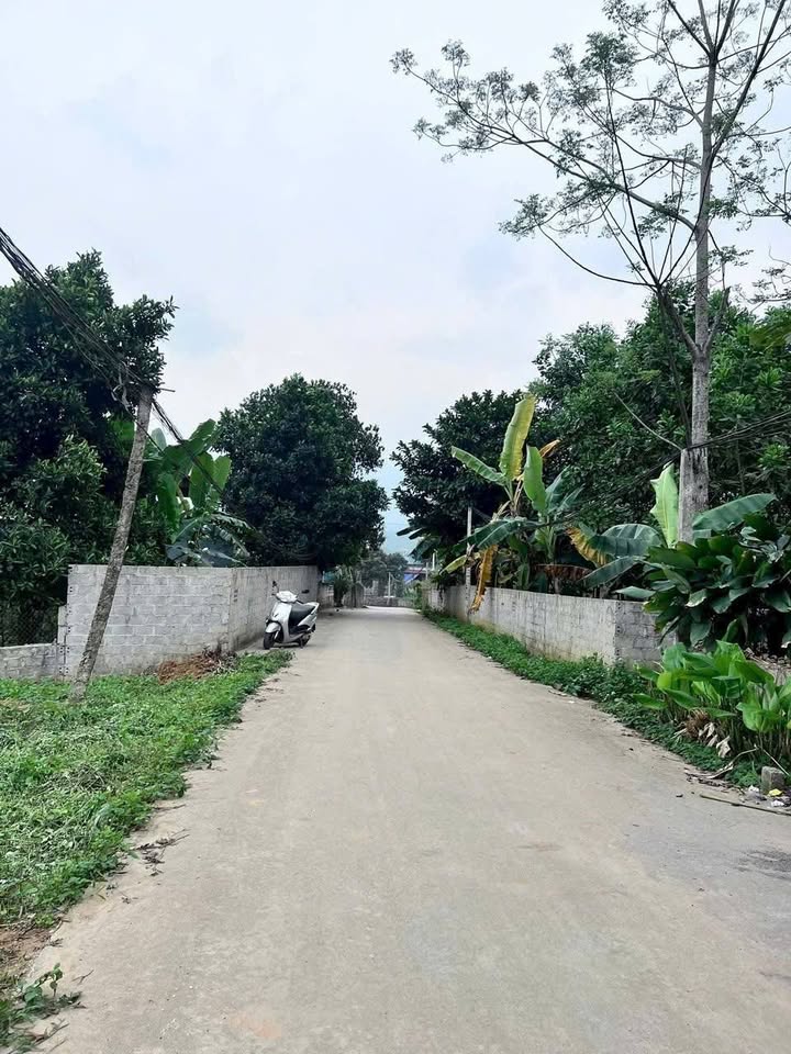 Đất nền Tất Thắng 840m² - Sổ đỏ chính chủ