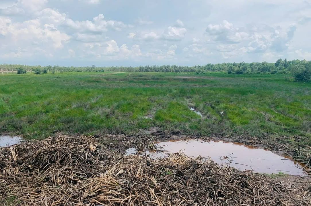 Đất thuê Vĩnh Lộc B 34.000m² 70 triệu - Đường ô tô