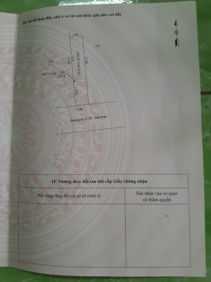 Đất nền Hẻm 53 Trần Phú 135m² 22.27 tỷ - Sổ đỏ chính chủ