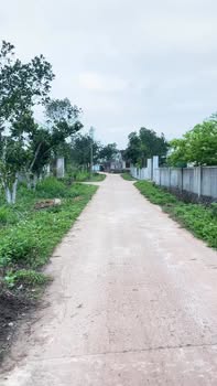 Đất nền Xóm 6 Đại Sơn 231m² giá 8xx – Đường to ô tô