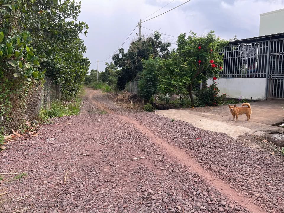 Đất vườn Xuân Phú Đồng Nai 7.342m² 4.2 tỷ - Sinh thái xanh