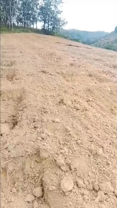 Đất nền Đắk Gằn Đắk Mil 1,1ha 1,5 tỷ - Sổ đỏ chính chủ