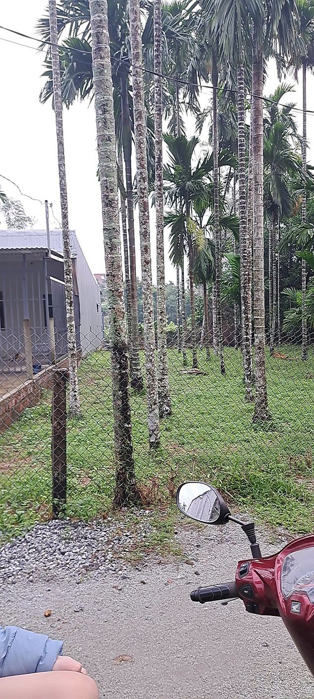 Đất Quảng Phú Quảng Ngãi 104m² 460 triệu - Giá tốt hiếm có