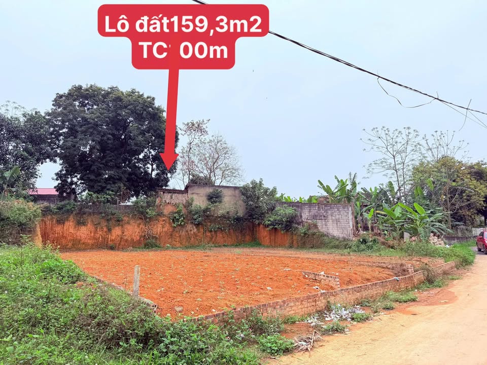 Đất nền Hoa Sơn Lập Thạch 159m² - Sổ đỏ chính chủ