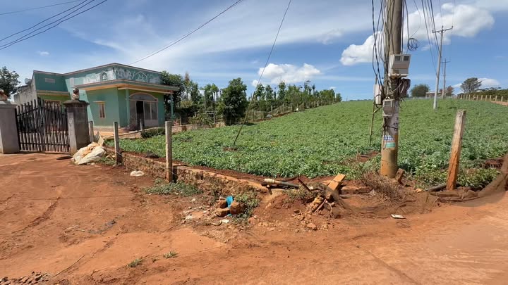 Đất nền Tân Hội Đức Trọng 258m² 750 triệu - Sổ đỏ