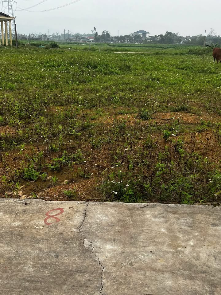 Đất Nghi Kiều 189m² 600-699 triệu - Đất thổ cư 100%