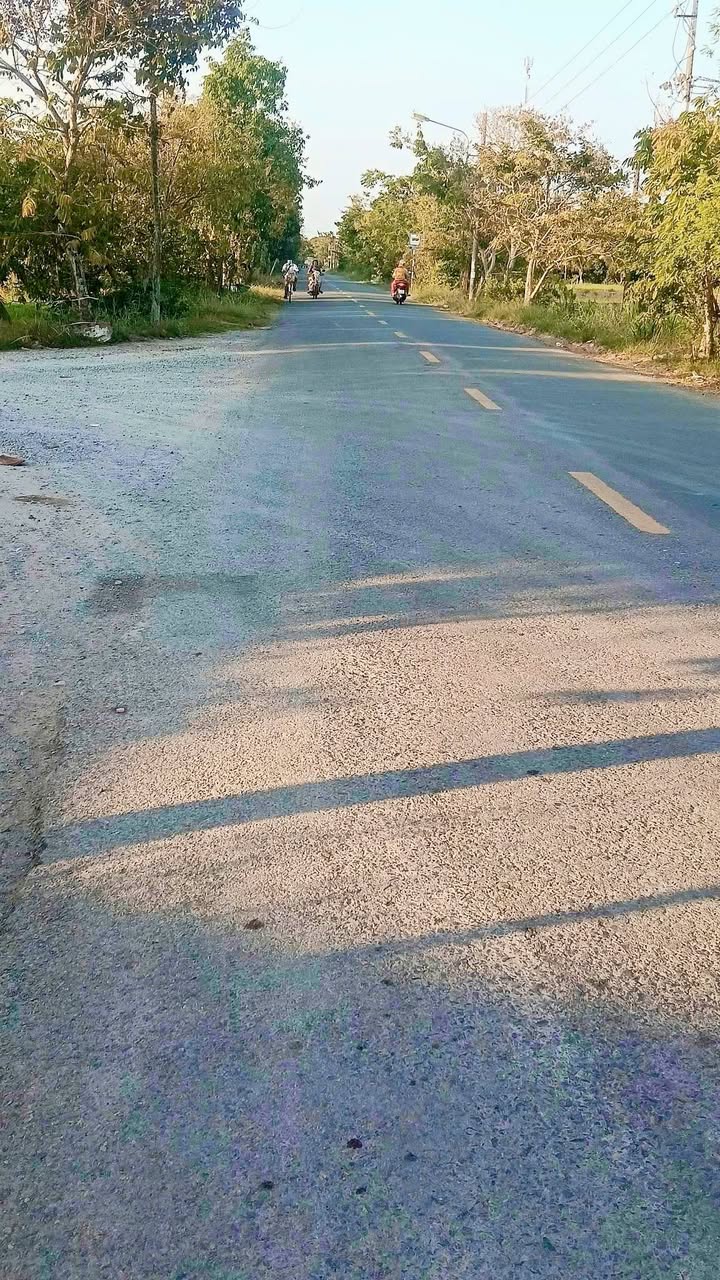 Đất vườn Tân Thanh Giồng Trôm 1,4 công 599 triệu - Sổ đỏ chính chủ