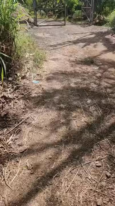 Đất vườn Xã Xà Bang 12.000m² - Nghỉ dưỡng lý tưởng