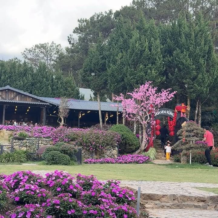 Đất Trảng Dài Biên Hòa 2.160m² 1.8 tỷ - Sổ đỏ chính chủ