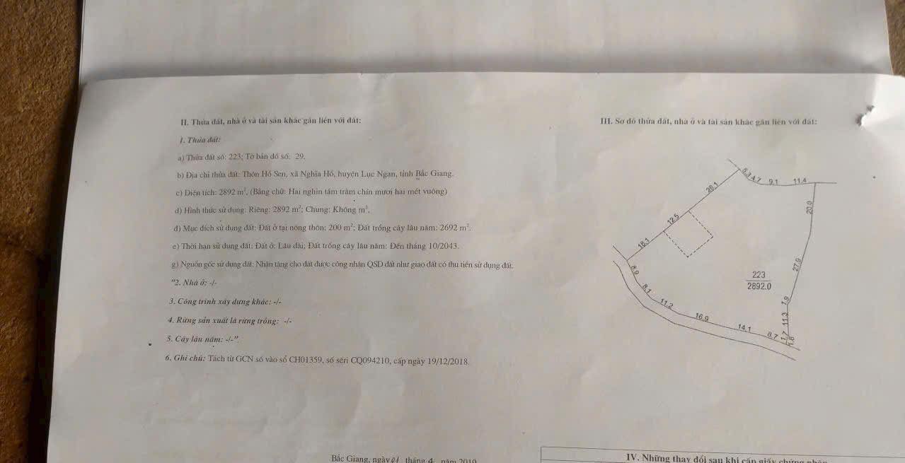 Đất vườn đường 36 Chũ 2.892m² hơn 2 tỷ - Tiềm năng tăng giá