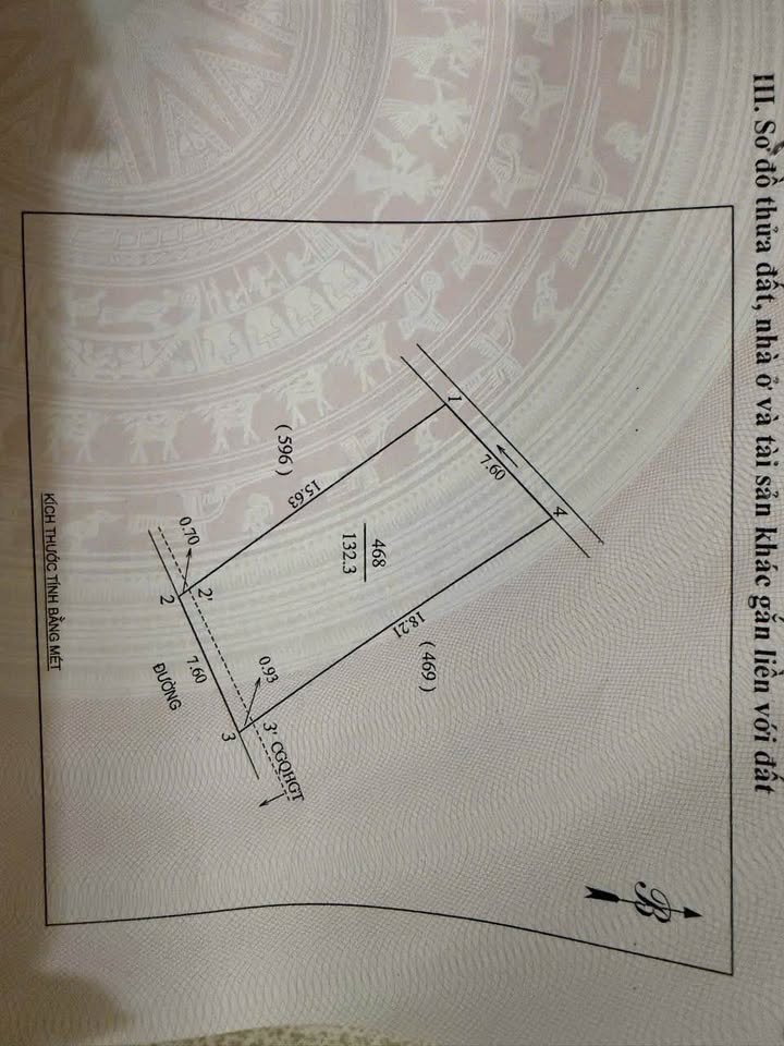 Nhà cấp 4 Hoàng Trọng Trì Vinh 132m² - Chính chủ ở ngay