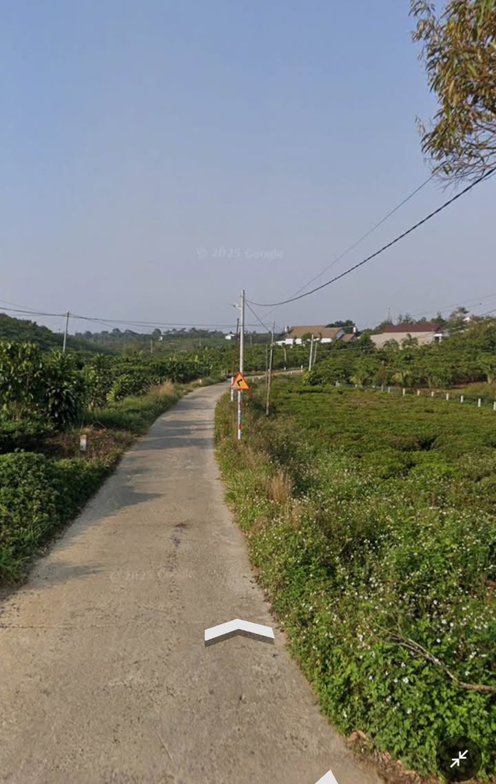 Đất nền Nguyễn Văn Cừ Lộc Ngãi 2300m²/2 tỷ - Sổ đỏ chính chủ