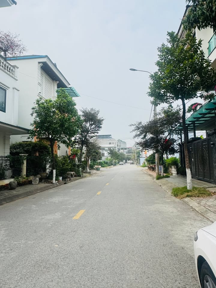 Đất nền Vĩnh Yên 159m² 7.95 tỷ - Sổ đỏ chính chủ