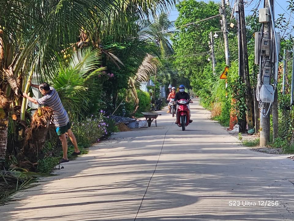 Nhà riêng Ấp Bình Hòa Tây Ninh 280m² - Chính chủ bán