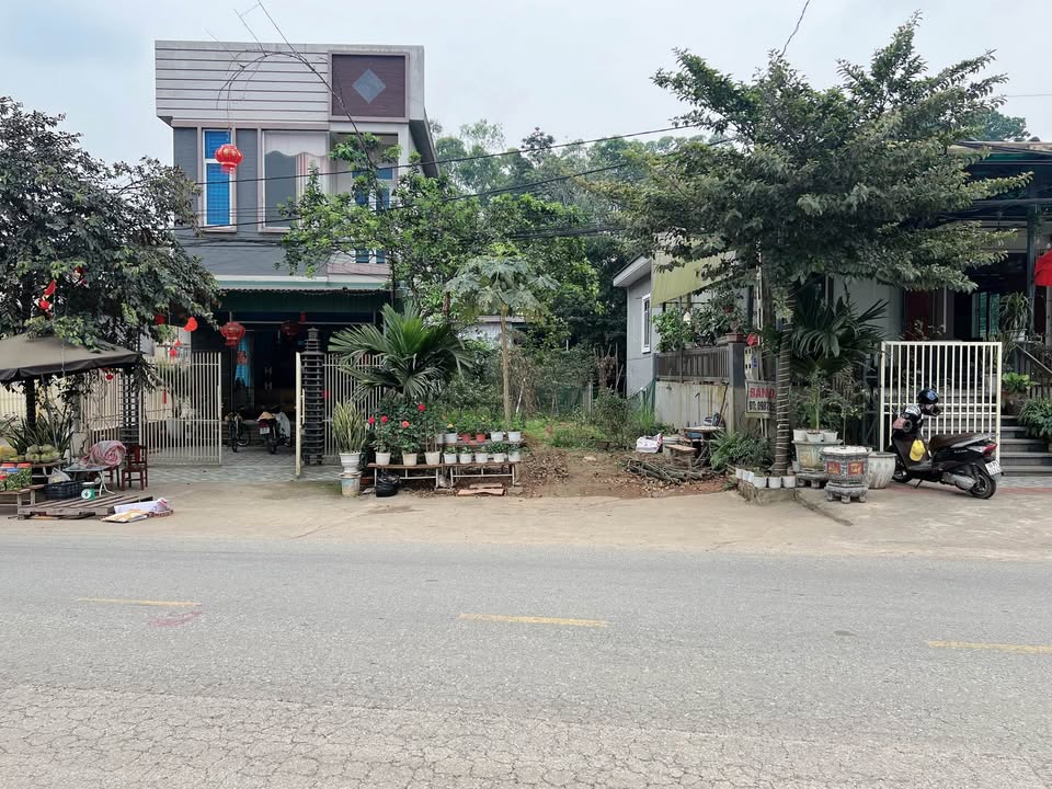 Đất nền Phù Ninh DT323D 165m² giá thỏa thuận - Đất thổ cư 100%