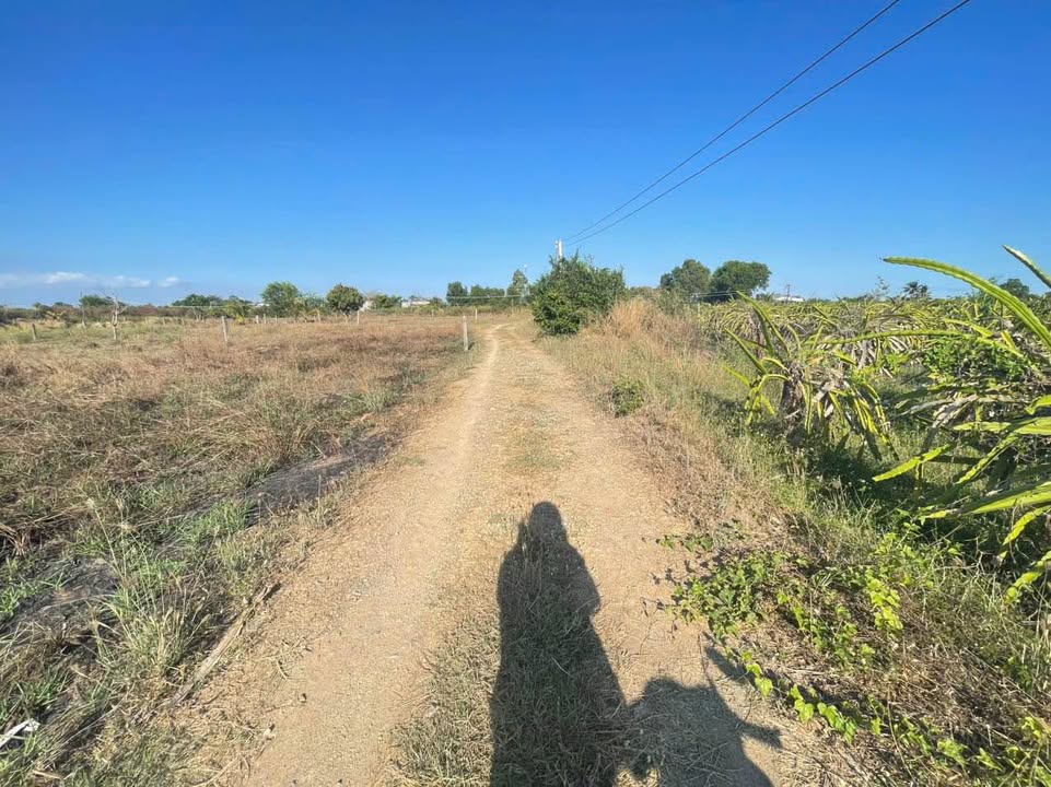 Đất nền Hàm Thuận Bắc 988m² giá 780 triệu - Sổ đỏ chính chủ!