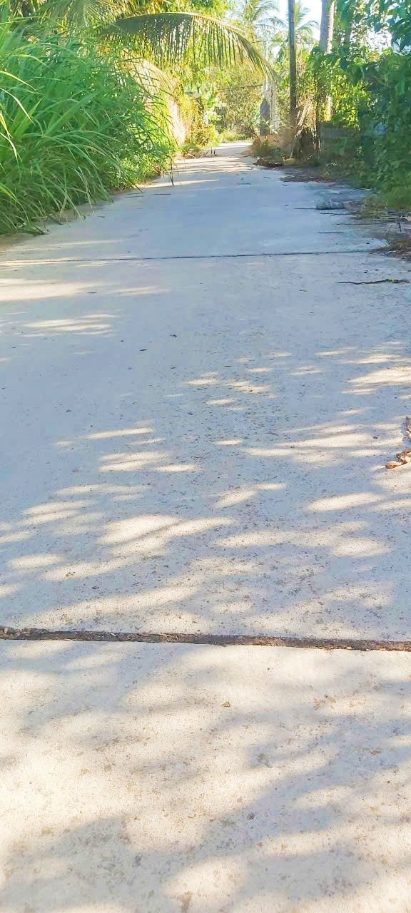 Đất nền Ấp Bưng Cà Pốt 360m² 290 triệu - Sổ đỏ chính chủ