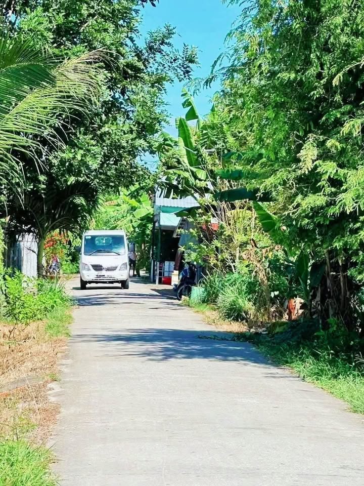 Đất Sóc Trăng 185m² 250 triệu - Xây dựng tự do