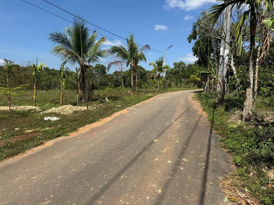 Đất nền Trúc Sơn Cư Jút 200m² 360 triệu - Tiềm năng tăng giá