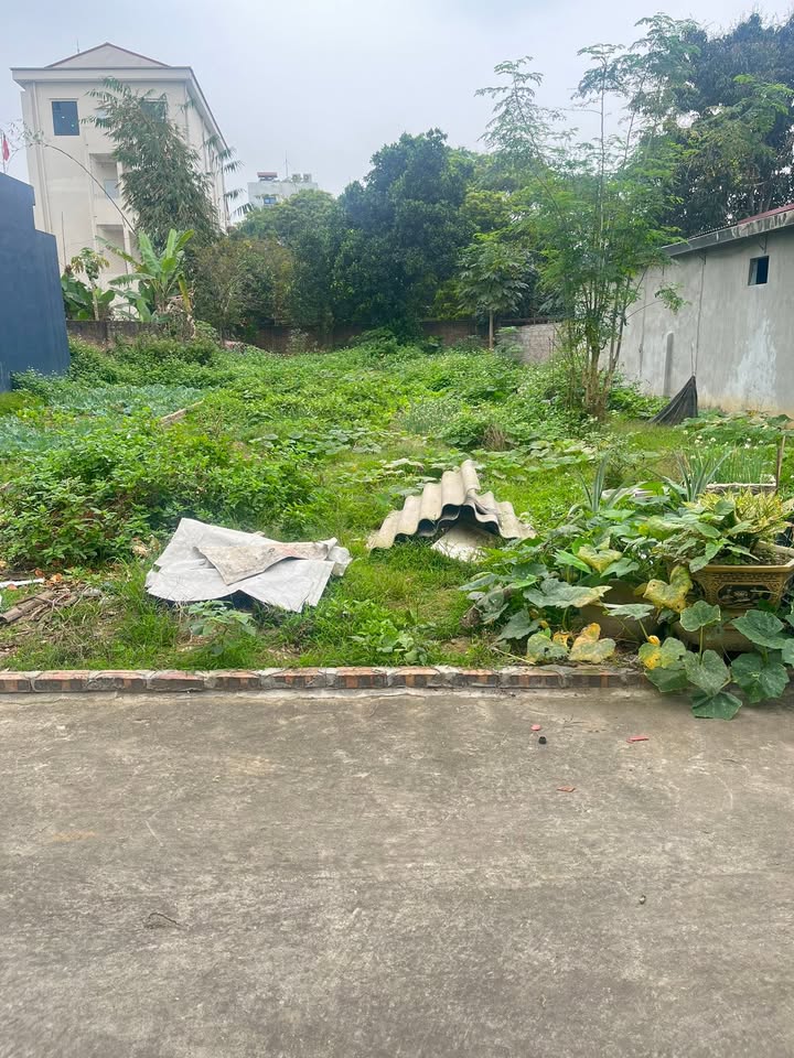 Đất nền Cẩm Khê 152m² giá 1.2 tỷ - Sổ đỏ chính chủ