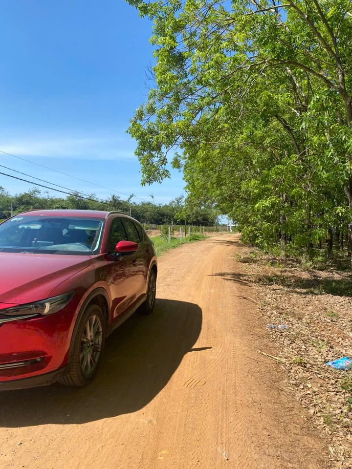 Đất nền Tân Phú Tân Châu 175m² 2xx triệu - Sổ đỏ chính chủ