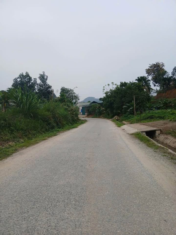 Đất Thanh Bình Yên Bình 104m² 700-799 triệu - Đường ô tô